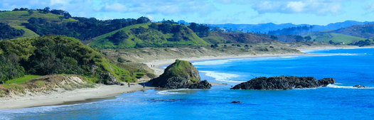 Auckland Day Tour Tawharanui Eco Tourism